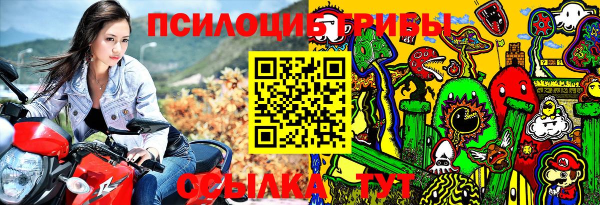 Галлюциногенные грибы мицелий Ликино-Дулёво