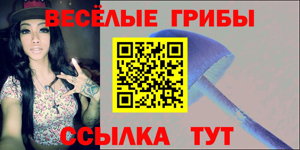Псилоцибиновые грибы Psilocybe  Псилоцибиновые грибы Psilocybine cubensis  Вход с VPN  Ликино-Дулёво 